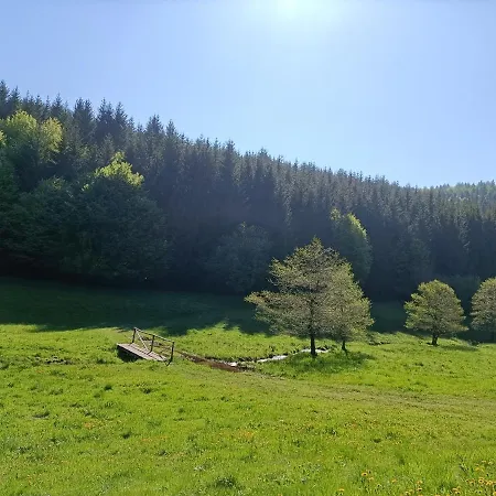 Lindenlaub Apartment Brotterode