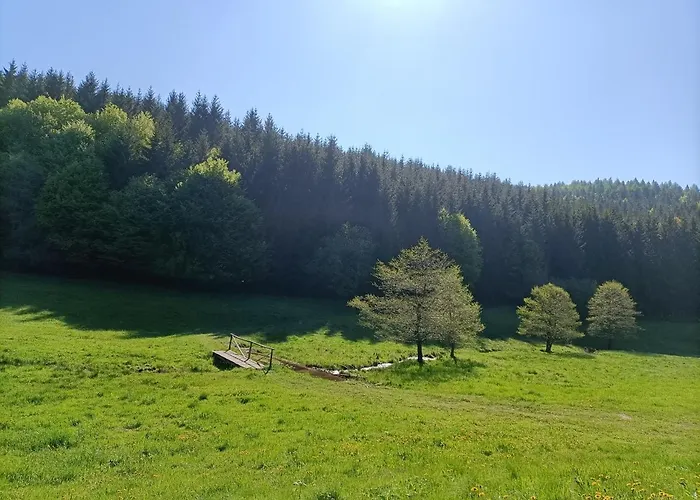 Lindenlaub Daire Brotterode